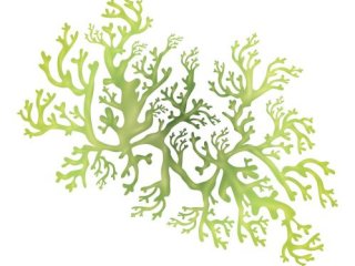 Изображение: captainvector /Фотобанк ru.123rf.com