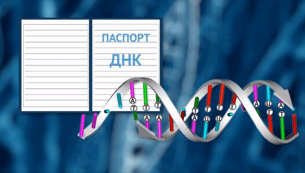 © Иллюстрация РИА Новости . Алина Полянина