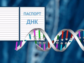 © Иллюстрация РИА Новости . Алина Полянина
