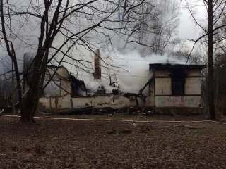 Фото: Ася Голуб/«Подслушано Колтуши»