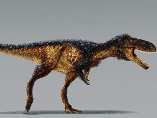Предки тираннозавров были небольшими, но умными