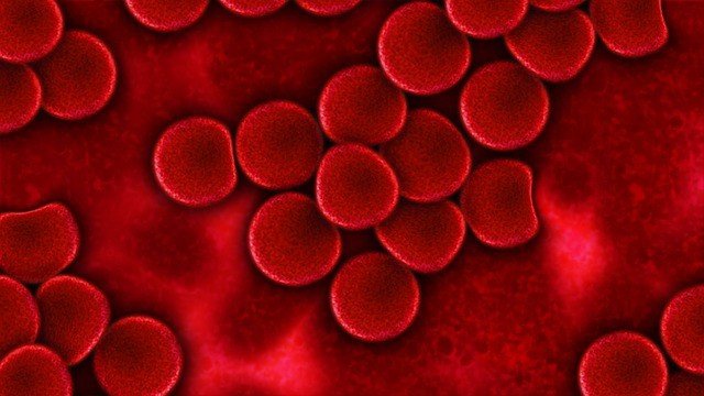 Шелк сохраняет клетки крови при высоких температурах