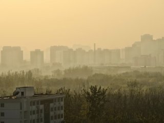 ВОЗ: 92% населения Земли дышит загрязненным воздухом