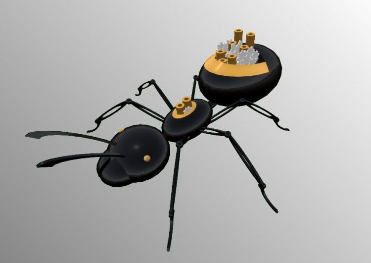 Как простой алгоритм позволяет муравьям строить мосты из собственных тел