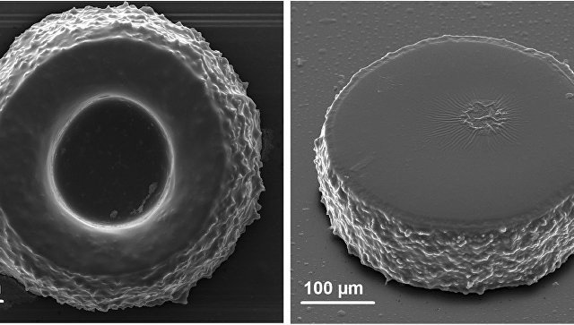SEM-изображения трехмерных полимерных микроструктур, полученные методом фотополимеризации, активируемой инфракрасным излучением, в тонком слое/Rocheva, V.V., Koroleva, A.V., Savelyev, A.G. et al. High-resolution 3D photopolymerization assisted by upconver
