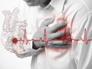 В ИМБ РАН выяснили, как защитить клетки сердца от гибели при развитии ишемии или инфаркта