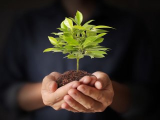 Новое исследование детализирует картину структуры земной биомассы и земных организмов.