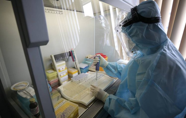 Биологи ИППИ РАН обнаружили доказательства природного происхождения коронавируса