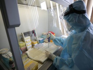Биологи ИППИ РАН обнаружили доказательства природного происхождения коронавируса