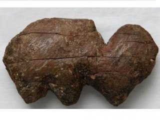 Сибирские археологи исследовали палеохудожественные изделия из бивня мамонта