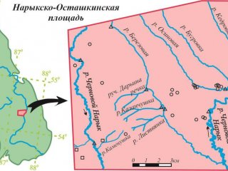 Ученые исследовали элементный состав природных вод и вмещающих отложений Кузбасса