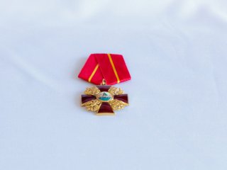 Николай Долгушкин награжден Орденом…