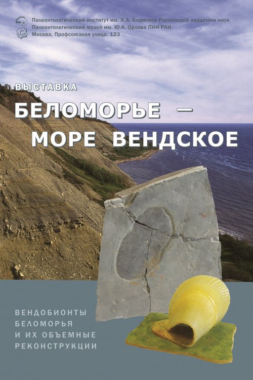 Открытие выставки «Беломорье – море вендское»