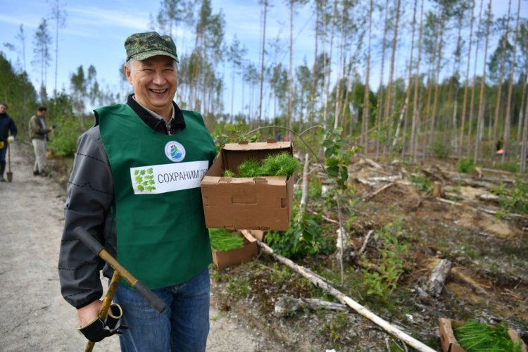 Акция «Сохраним лес» в Карелии, 2021 г.