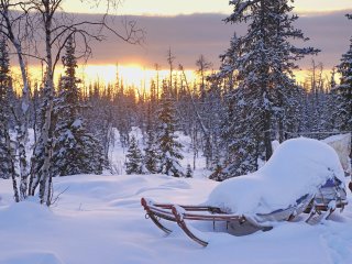 Уникальные древности Енисейской Сибири. Источник: Hans-Jurgen Mager / Фотобанк Unsplash 