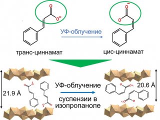 Вверху изомеризация циннамат-аниона; внизу схема изменения межслоевого расстояния в слоистом гидроксиде иттрия, содержащем циннамат-анионы, при УФ-облучении. Автор иллюстрации – Теплоногова Мария