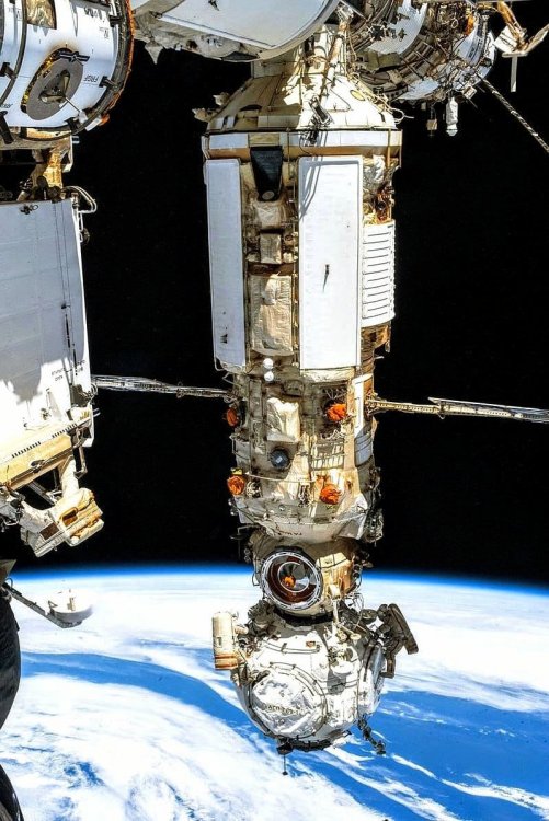 Проведение эксперимента «Перепел» запланировано в российском модуле МКС «Наука»