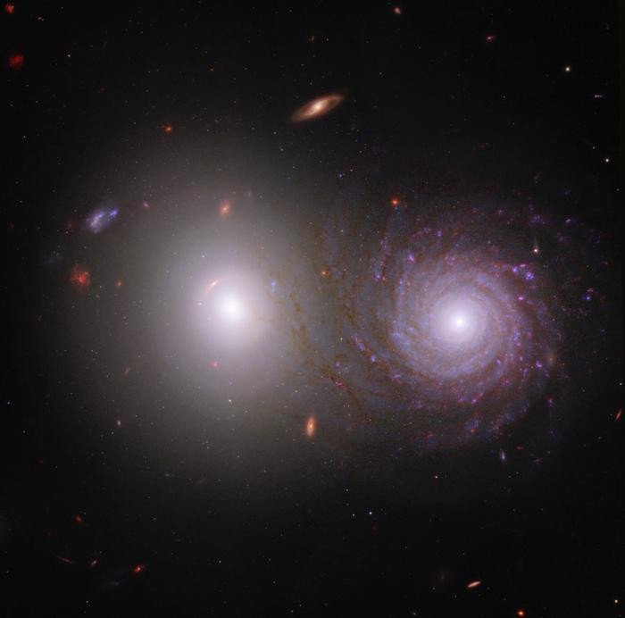 Это изображение, показывающее эллиптическую галактику (слева) и спиральную галактику (справа), включает ближний инфракрасный свет от космического телескопа Джеймса Уэбба, а также ультрафиолетовый и видимый свет от космического телескопа Хаббла.