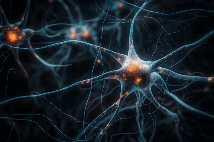 Ученые предложили диагностировать депрессивное расстройство по активности нейронов мозга пациентов.Источник изображения: nuevoimg / фотобанк 123RF