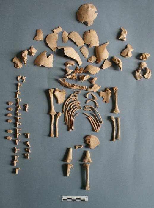Останки человека “CRU001”, мальчика, который умер при рождении или незадолго до него и был похоронен в Альто-де-ла-Крус