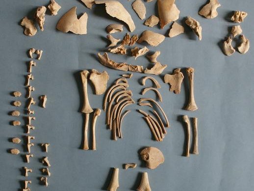 Останки человека “CRU001”, мальчика, который умер при рождении или незадолго до него и был похоронен в Альто-де-ла-Крус