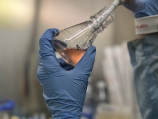 Источник Лаборатория биоинженерии клеток млекопитающих ФИЦ Биотехнологии РАН