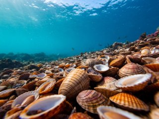 Фото: создано с помощью сервиса «Шедеврум»