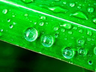 Изображение: siamimages/Фотобанк RU.123RF