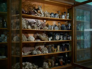 На биологическом факультете МГУ. Фото: Елена Либрик / «Научная Россия»