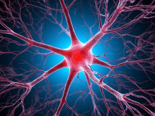 Фото: создано с помощью сервиса «Шедеврум»