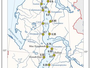 Приливы в устьях рек Обской губы. Фото: географический факультет МГУ