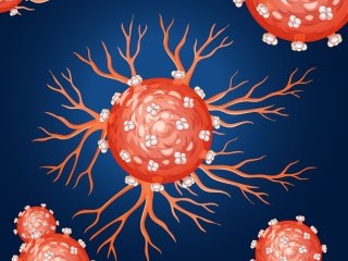 Изображение: Фотобанк Freepik