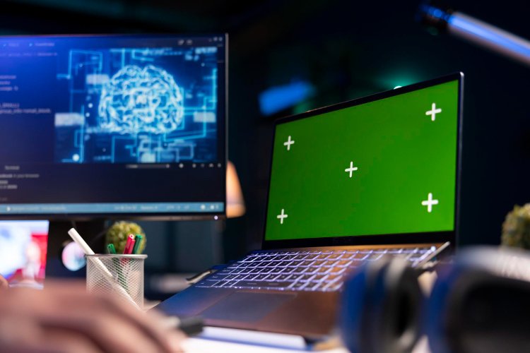 Изображение: Фотобанк Freepik