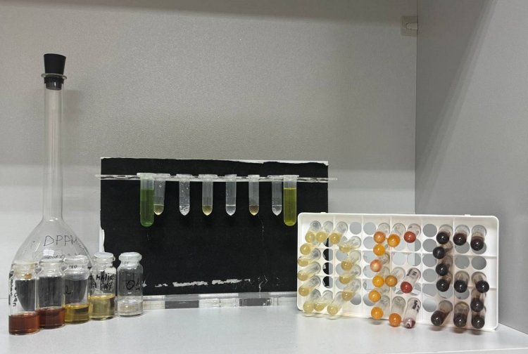 Готовые эвтектические экстракты. Фото предоставлено Андреем Шишовым