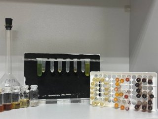 Готовые эвтектические экстракты. Фото предоставлено Андреем Шишовым