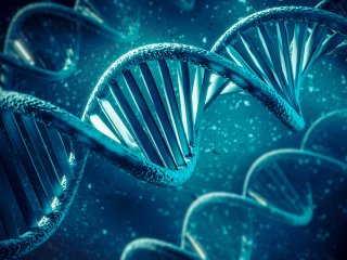 Изображение: Фотобанк Freepik