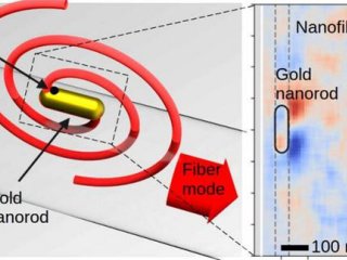 (Слева) Вращение светового поля вокруг золотой наностержневой структуры, соединенной с ультратонким оптическим волокном.Фото: Professor Mark Sadgrove from Tokyo University of Science, Japan Image link: https://pubs.acs.org/doi/10.1021/acs.nanolett.5c05644