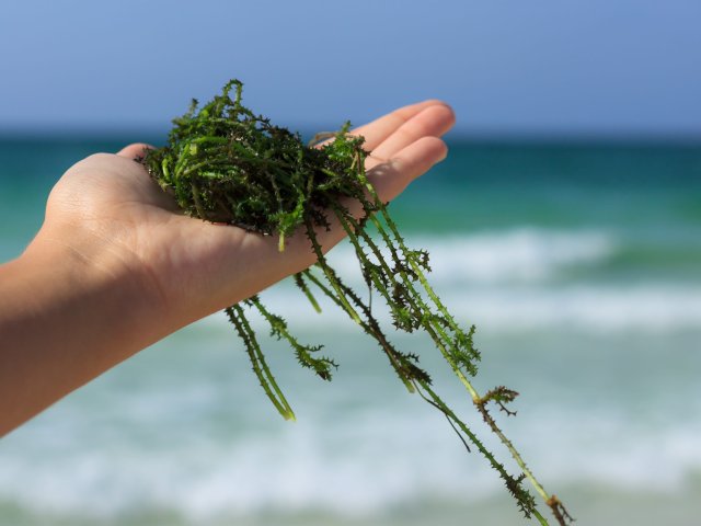 Источник ru.123rf.com