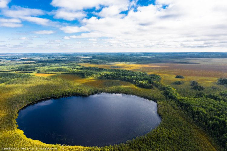 Фото: Дмитрий Кандинский / vtomske.ru