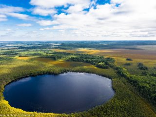Фото: Дмитрий Кандинский / vtomske.ru