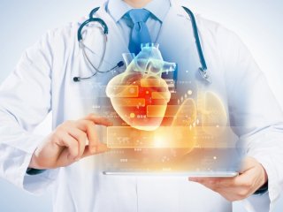 Вдохновленная мозжечком нейросеть помогает эффективнее анализировать МРТ-снимки левого предсердия. Источник изображения: nexusplexus / фотобанк 123RF
