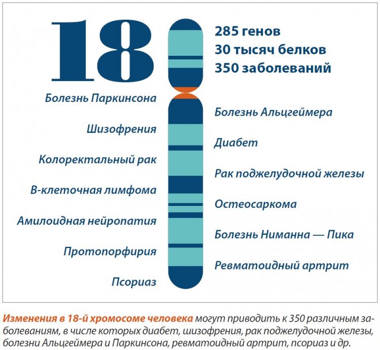 Изменения в 18 хромосоме
