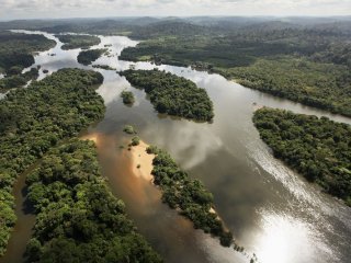 Ученые нашли древнюю цивилизацию Амазонии