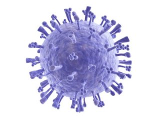 Мутации в генах вируса гриппа помогают друг другу