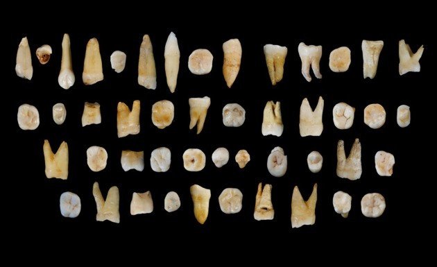Найденные в Китае древние зубы меняют историю Homo sapiens