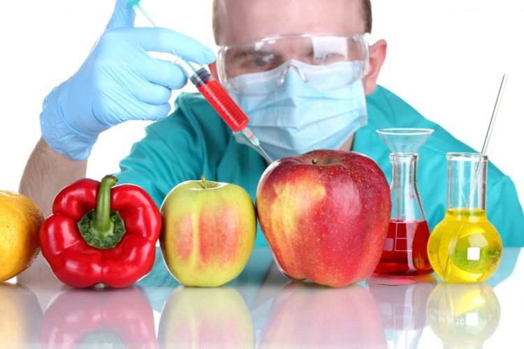 Выводы работ о вреде ГМО могут быть основаны на подтасовках