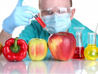 Выводы работ о вреде ГМО могут быть основаны на подтасовках