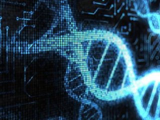 Ваш геном в сети: российские и американские эксперты расскажут о концепции Интернета ДНК
