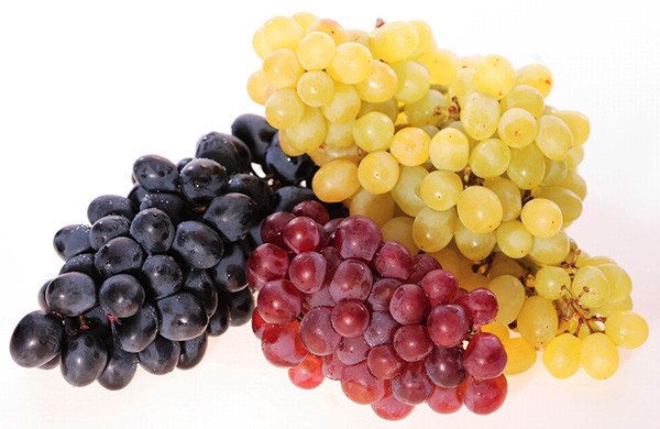 Российские ученые разработали способ сделать виноград полезнее