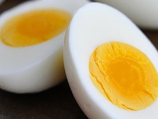 Откуда мушки знают, что им пора подкрепиться белком